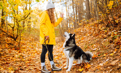 Woman in bright raincoat is having fun with her dog in an autumn park. Young woman enjoys autumn in park, walking husky outdoors. Concept of friendship, animals, and walking. Lifestyle. © maxbelchenko