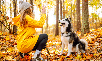Woman in bright raincoat is having fun with her dog in an autumn park. Young woman enjoys autumn in park, walking husky outdoors. Concept of friendship, animals, and walking. Lifestyle. © maxbelchenko