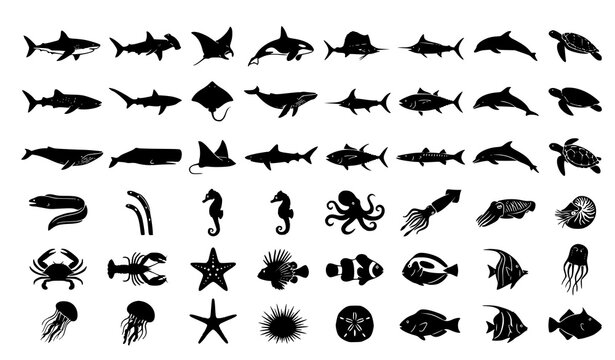 Premium ocean wildlife silhouette vector pack with shark dolphin tuna clownfish and marine creatures