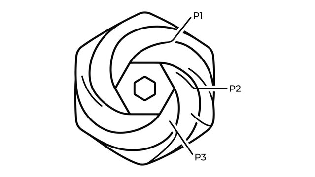 Abstract Geometric Design with Point Labels: A stylized hexagonal illustration featuring a swirling, layered design, with points P1, P2, and P3 clearly marked.