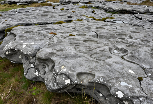 Geological formations and natural erosion, limestone pavement with unique patterns and textures in a rocky landscape