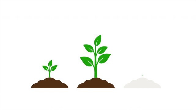 Animated plant growth stages from seedling to tree in soil mounds, sustainability and nature life cycle concept