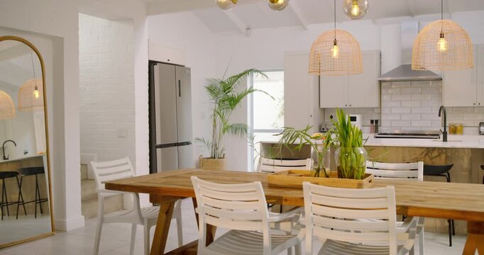 On start, camera is panning and zooming to reveal dining table with chairs, planter in kitchen