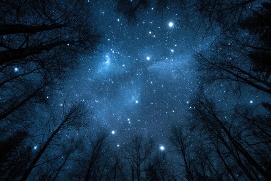 Silhouette of trees framing a vast, star-filled, celestial night sky