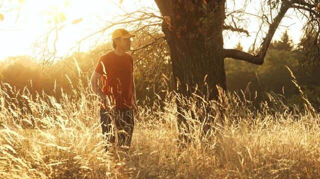 Young man walks up to a tree at sunset, leans to the trunk and enjoys the view of the illuminated high dry grass moving in the wind. 