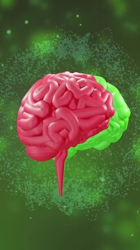 Animation of digital brain spinning over light spots