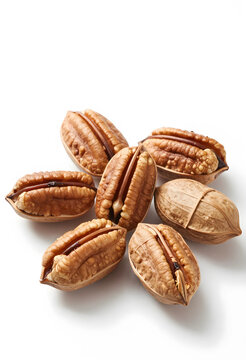 Healthy eating and natural snack concept, several pecan nuts in shells and cracked open on a white background