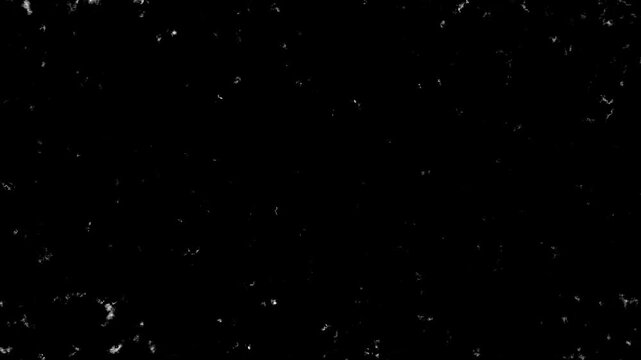 Film Grain Effects, Old Film Effect, Dust and scratches and Noise.