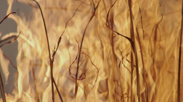Fire a blaze