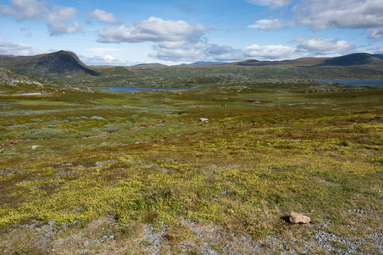 Fjell Landschaft ,  Jotunheimen Nationalpark, Norwegen