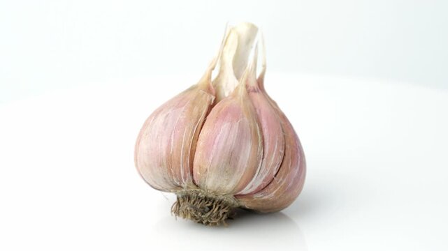 Single organic garlic bulb rotating isolated on white background. Harvesting and agriculture. Farming. Vegetables.
