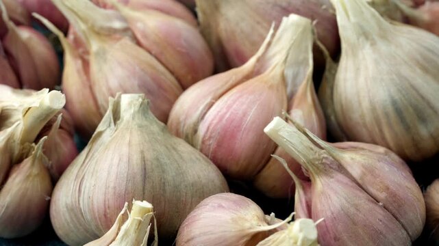 Unpeeled fresh organic garlic bulbs rotating in close up view. Harvesting and agriculture. Farming. Vegetables.