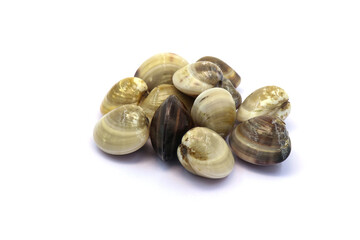 Closed up fresh baby clams. venus shell. shellfish. carpet clams. short necked clams. as raw food from the sea are the seafood ingredients. fresh clams isolated on white background © Pisan