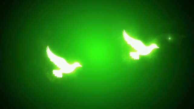 Two white doves flying with glowing green light effect during night cinematic motion