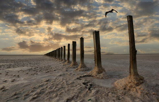Wooden posts in a salt lake under a dramatic cloudy sky at sunset