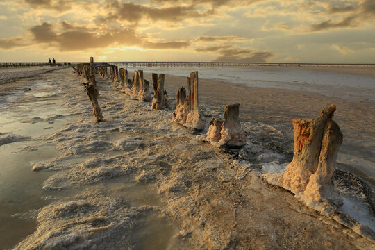 Wooden posts encrusted with salt stand in a shallow salt lake at sunset