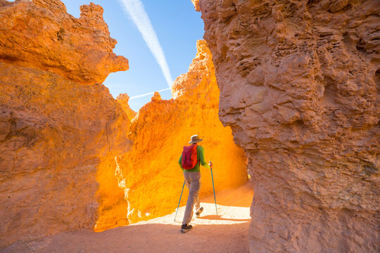 Hike in Bryce