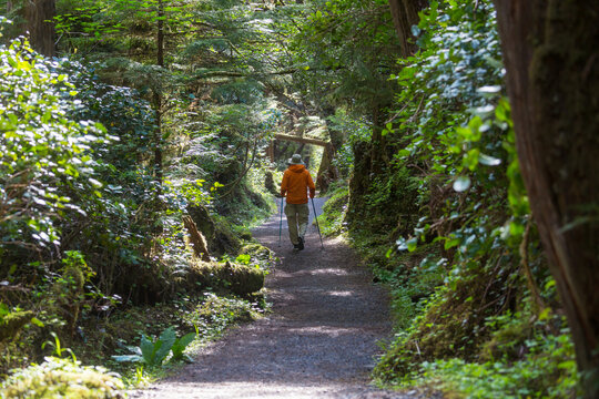 Hike in the forest