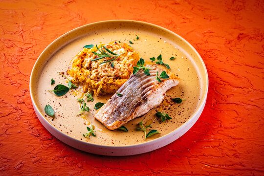 Fried salmon fish fillet with pumpkin and sweet potato rosti gratin served as close-up on a design plate