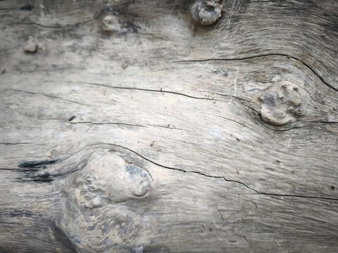 Natural weathered wood grain surface with rough texture and knots