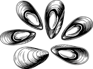 Vintage of six mussels arranged in a circular pattern © Ripa_Moni