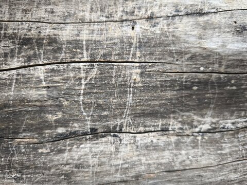 Weathered grey wooden plank surface with deep natural cracks and rustic texture