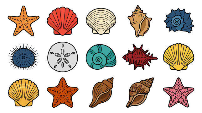 Colorful collection of various seashells and sea creatures in a vibrant cartoon style.