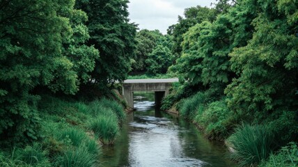 Fototapeta premium Concrete Culvert Bridge Over Stream Surrounded By Lush Green Trees