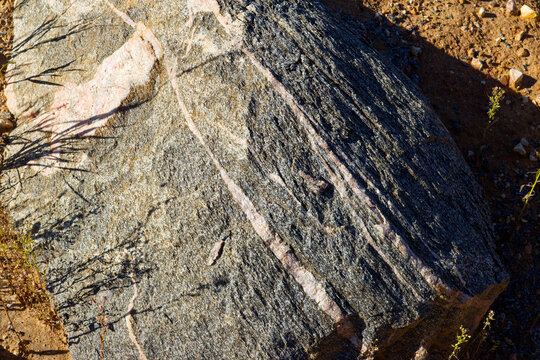 Massive migmatite erratic boulder with intricate mineral layering resting on sandy soil, geological specimen deposited by ancient northern glaciers in central Russian landscape