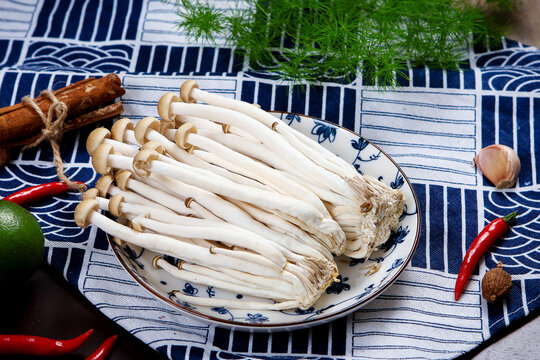 Fresh brown shimeji mushrooms raw edible fungi