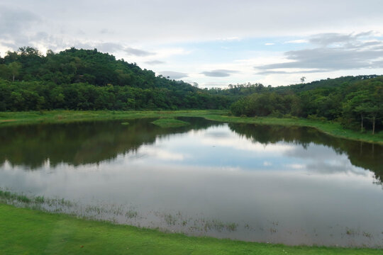 Rayong, Thailand &ndash; August 23, 2025: Wangchan Forest Learning Center using the Miyawaki method, with diverse native trees planted densely and randomly around a lush lawn, calm reservoir, and forest bac