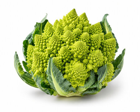 Fresh Romanesco Broccoli Photo｜新鮮なブロッコリー・ロマネスコの写真素材