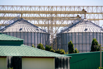 Naklejka premium Industrial Grain Storage Silos with Connecting Framework and Green Roofs