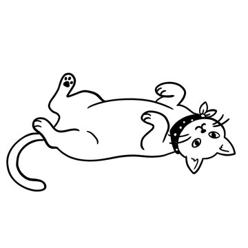 Cute funny cat lying on back with bow vector line art illustration, playful kitty outline drawing