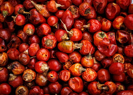 close up of a bunch of chili chiltepin from Sonora