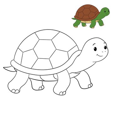 Cute turtle coloring page for kids with a small colored sample image, perfect for educational and creative children activities