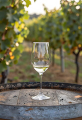 Fototapeta premium Wine tasting experience and vineyard tourism, white wine glass on a rustic barrel in a sunny grape field