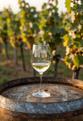Naklejka premium Wine tasting experience in a vineyard, white wine glass on a rustic barrel, winemaking and viticulture concept at sunset