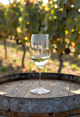 Naklejka premium Wine tasting experience, glass of white wine on a rustic barrel in a sunny vineyard, viticulture and winemaking