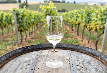 Naklejka premium Wine tasting experience in a vineyard, white wine glass on a wooden barrel with grapevines in the background