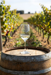 Naklejka premium Wine tasting experience and vineyard tourism, glass of white wine on a wooden barrel in a sunny vineyard