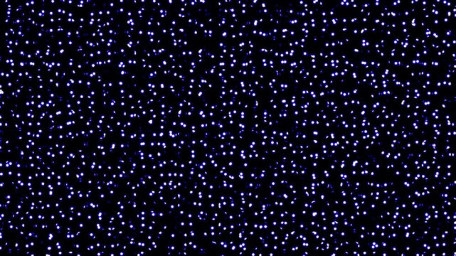 Abstract blue glittering dot matrix light field loop background, glowing starry motion graphic