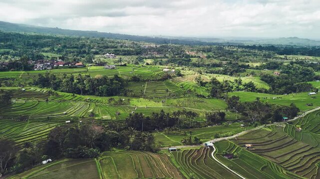 High altitude drone capture of Jatiluwih terraced fields