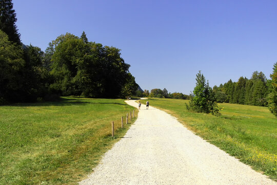 People walking along a scenic gravel pathway through lush green alpine meadows and forest in Val di Sella near Arte Sella, Trentino, Northern Italy, on a clear sunny day.