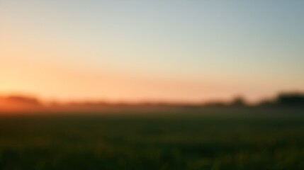 Fototapeta premium Soft sunrise over a misty, green field with distant trees