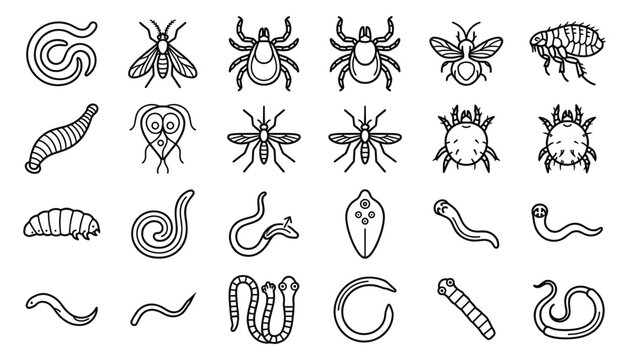 Medical Parasitology and Household Pest Control Line Icon Set Featuring Helminth Worms Fleas Ticks Mosquitoes Lice Maggots and Microscopic Parasite Symbols
