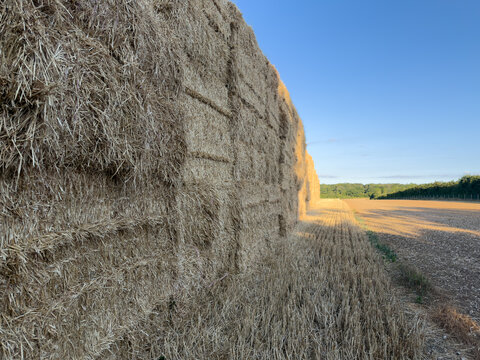 Long row of farm fodder detail