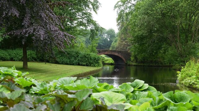 Serene river flowing through lush green park