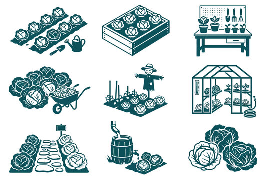 Cabbage farming and gardening icon set in monochromatic isometric style