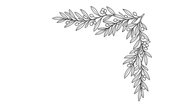 Elegant hand-drawn olive branch corner illustration in black and white for decorative purposes.